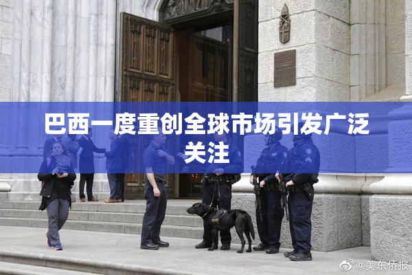 巴西一度重创全球市场引发广泛关注