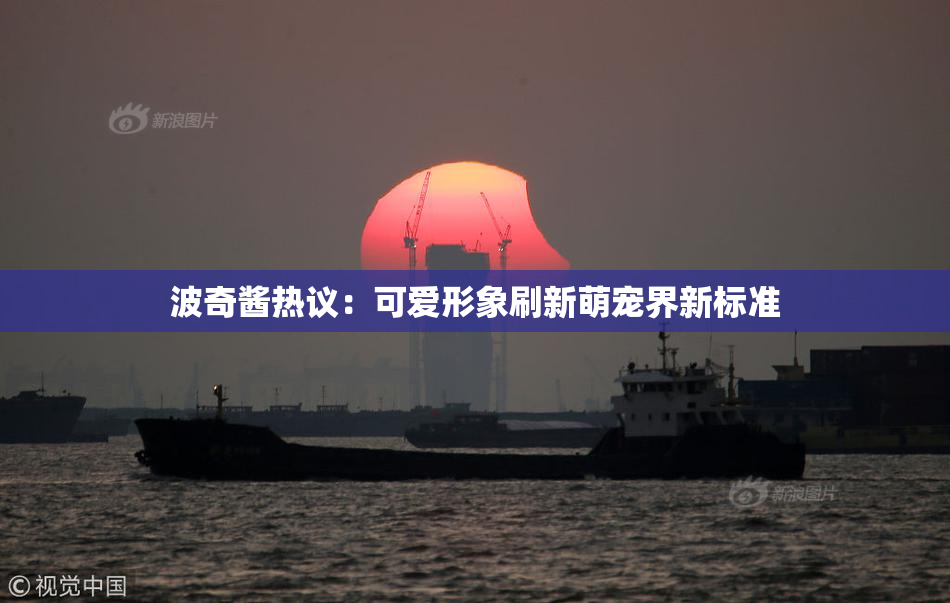 波奇酱热议：可爱形象刷新萌宠界新标准