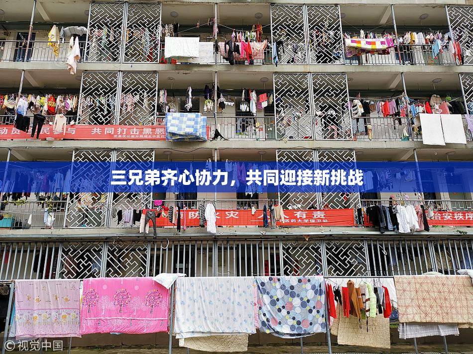 三兄弟齐心协力，共同迎接新挑战