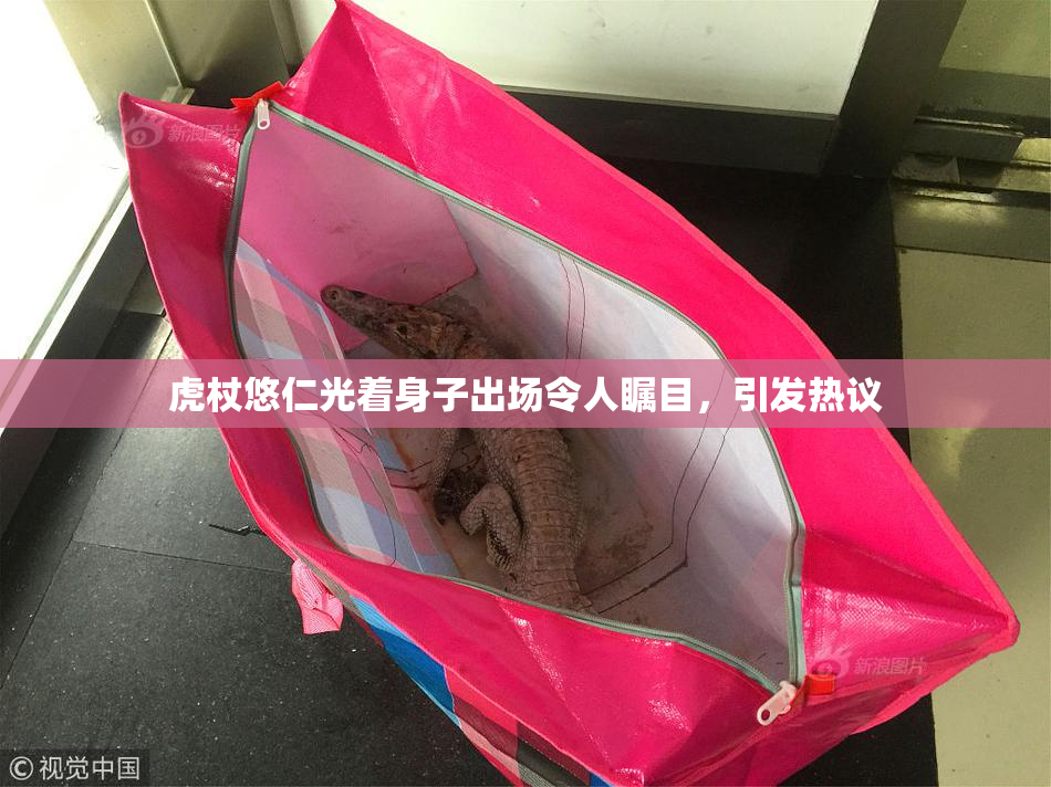 虎杖悠仁光着身子出场令人瞩目，引发热议