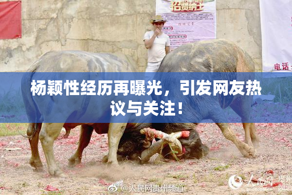 杨颖性经历再曝光，引发网友热议与关注！