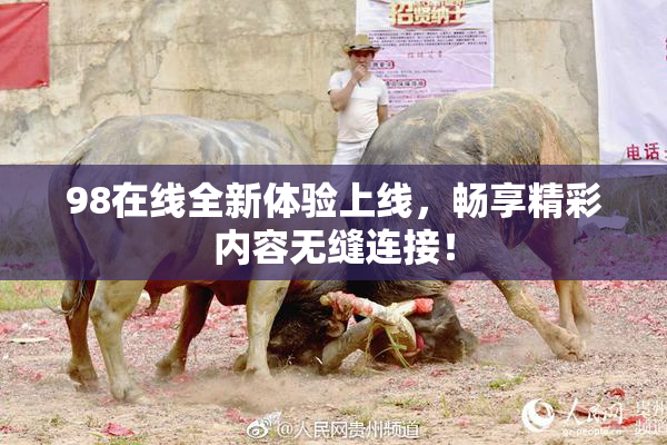 98在线全新体验上线，畅享精彩内容无缝连接！