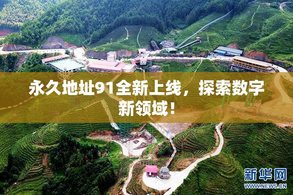 永久地址91全新上线，探索数字新领域！