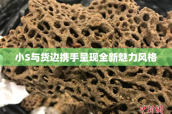 小S与货边携手呈现全新魅力风格