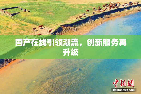 国产在线引领潮流，创新服务再升级