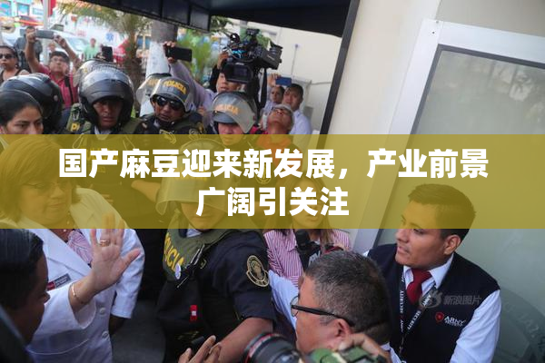 国产麻豆迎来新发展，产业前景广阔引关注