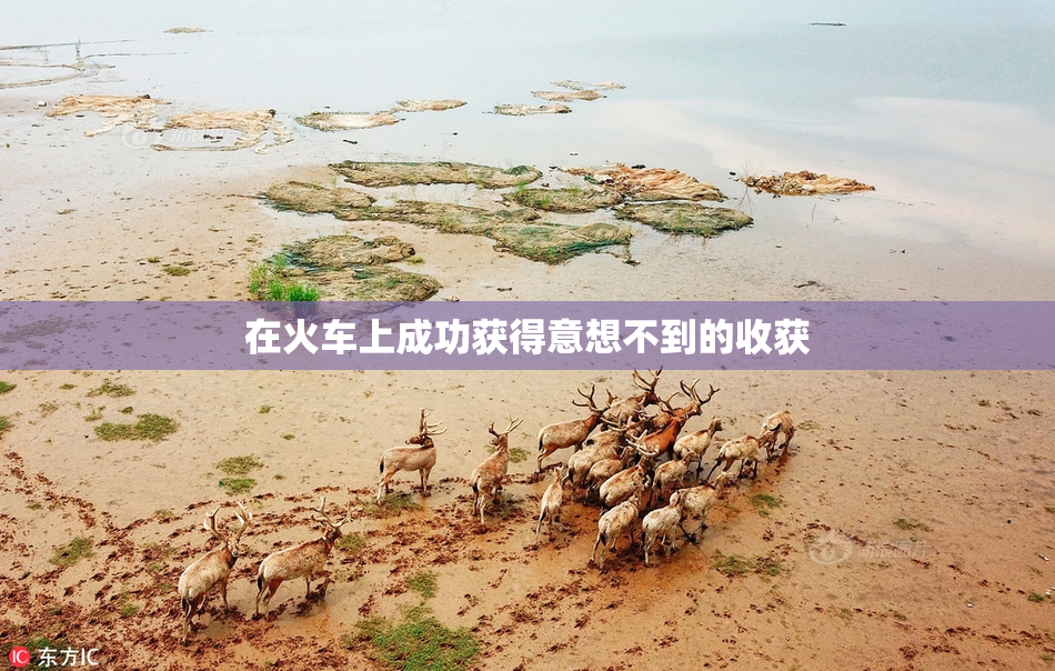 在火车上成功获得意想不到的收获