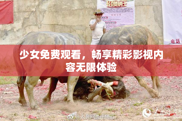 少女免费观看，畅享精彩影视内容无限体验