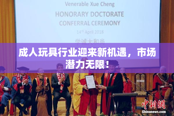 成人玩具行业迎来新机遇，市场潜力无限！