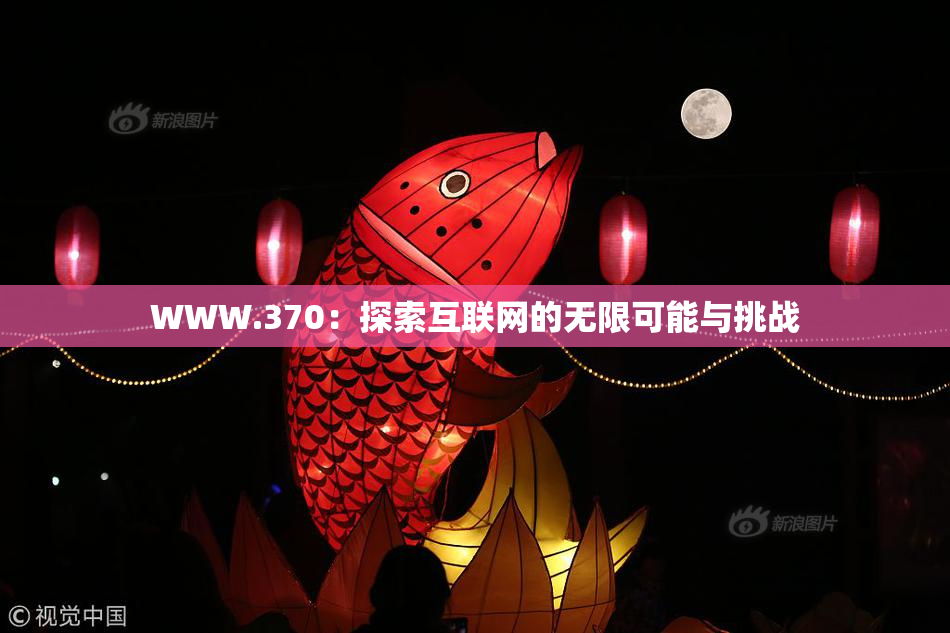 WWW.370：探索互联网的无限可能与挑战