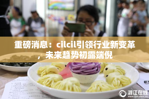重磅消息：cilcil引领行业新变革，未来趋势初露端倪