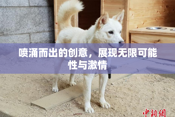 喷涌而出的创意，展现无限可能性与激情