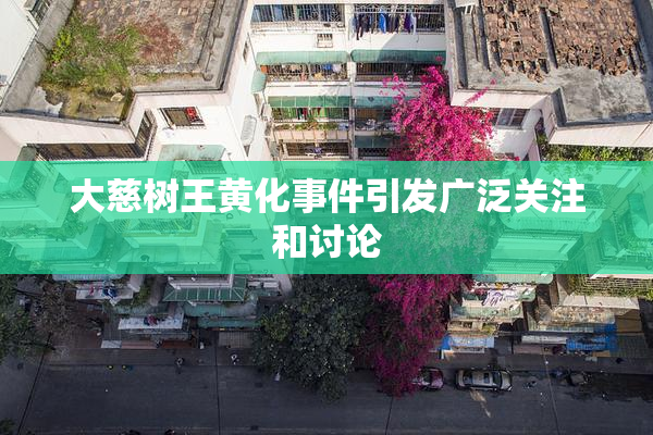 大慈树王黄化事件引发广泛关注和讨论
