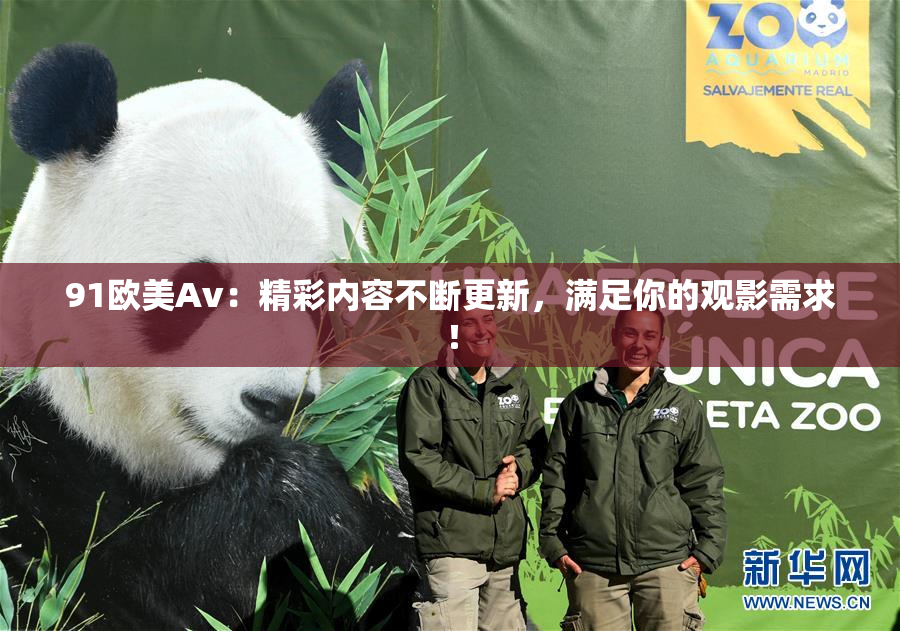 91欧美Av：精彩内容不断更新，满足你的观影需求！