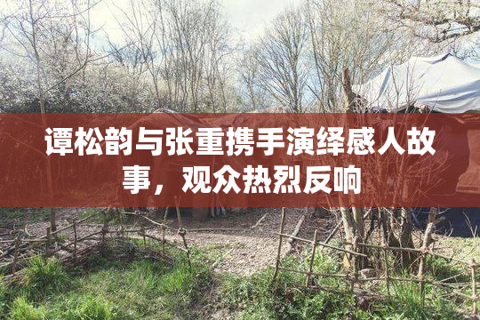 谭松韵与张重携手演绎感人故事，观众热烈反响