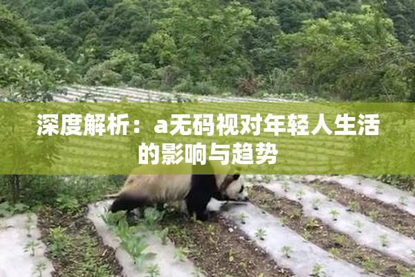 深度解析：a无码视对年轻人生活的影响与趋势
