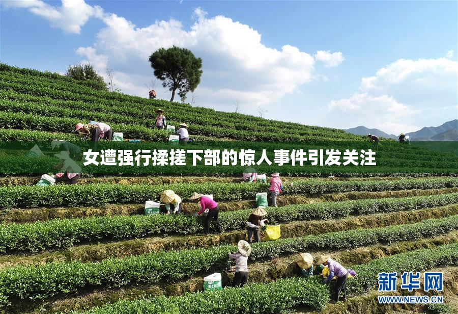 女遭强行揉搓下部的惊人事件引发关注