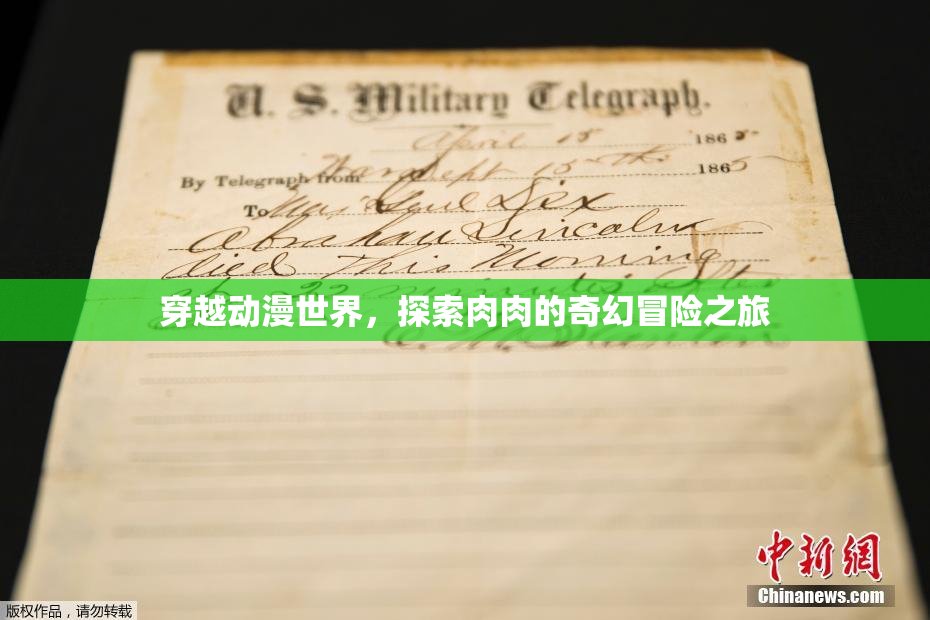 穿越动漫世界，探索肉肉的奇幻冒险之旅