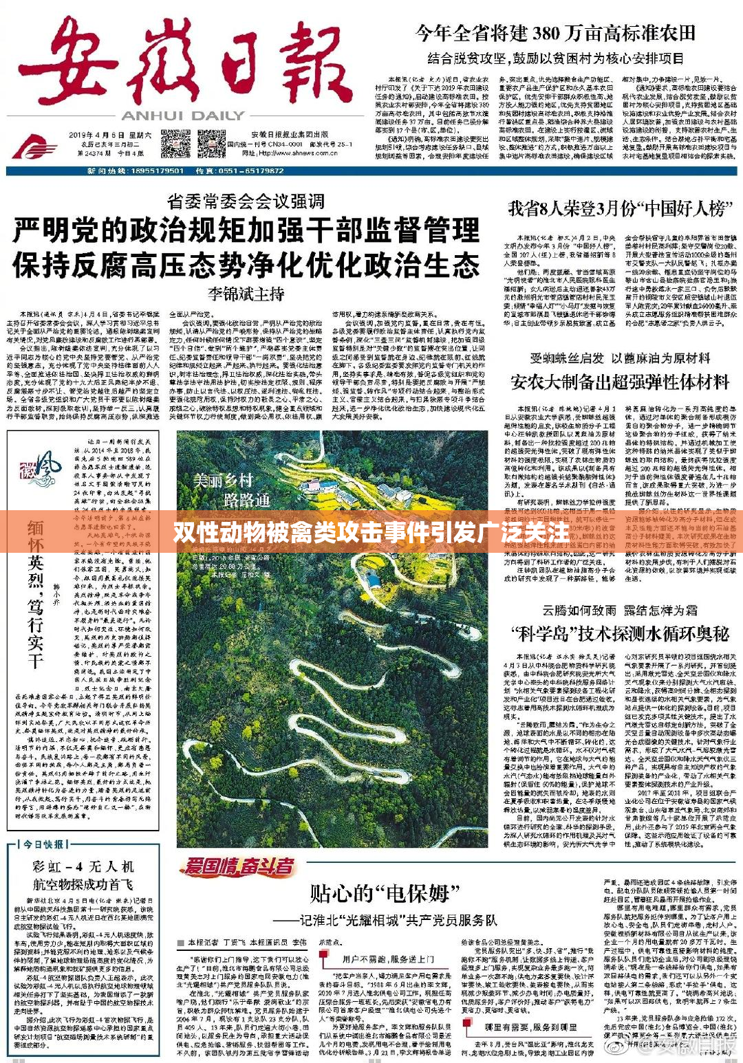 双性动物被禽类攻击事件引发广泛关注