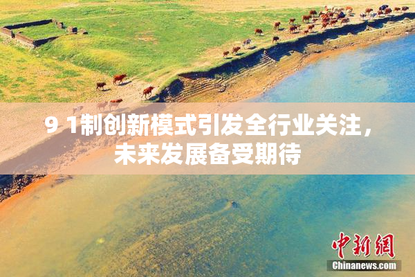9 1制创新模式引发全行业关注，未来发展备受期待