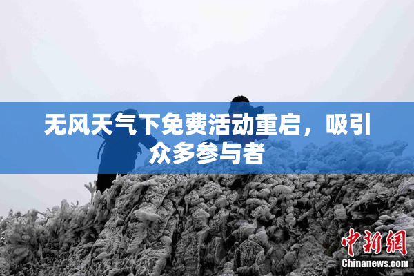 无风天气下免费活动重启，吸引众多参与者