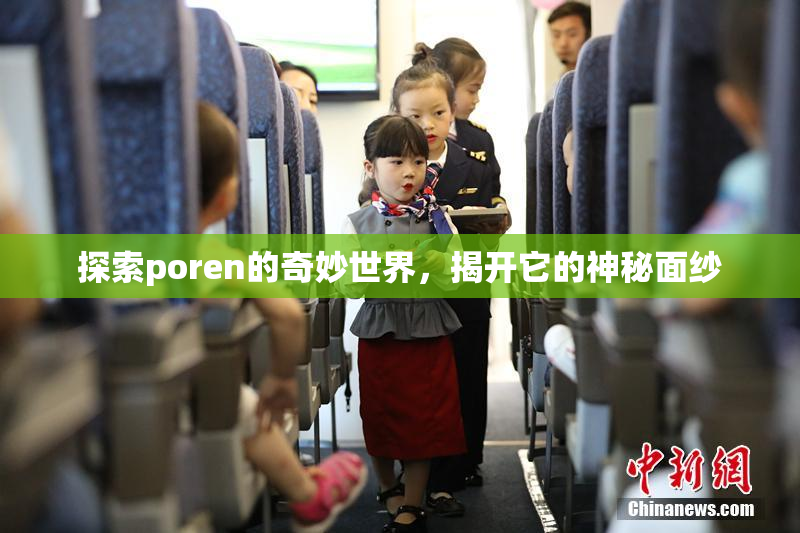 探索poren的奇妙世界，揭开它的神秘面纱
