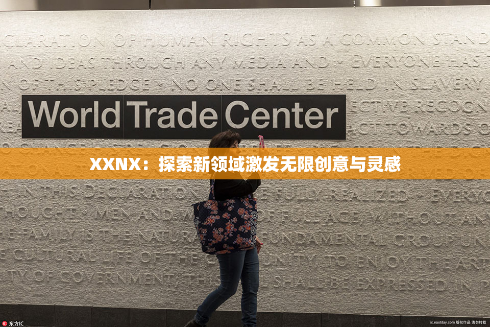 XXNX：探索新领域激发无限创意与灵感