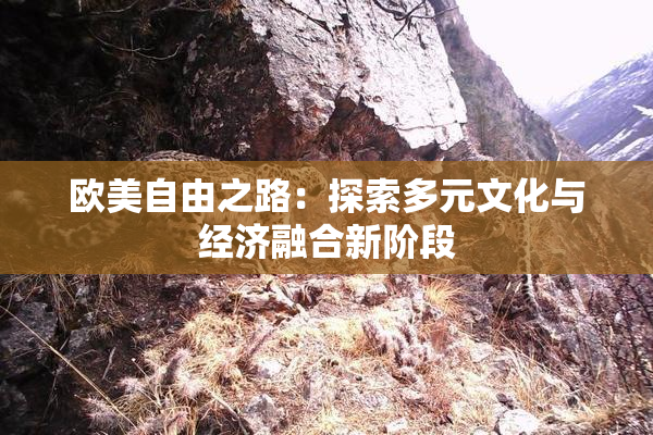 欧美自由之路：探索多元文化与经济融合新阶段