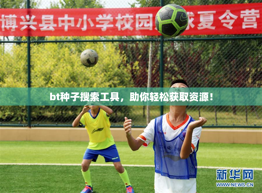 bt种子搜索工具，助你轻松获取资源！