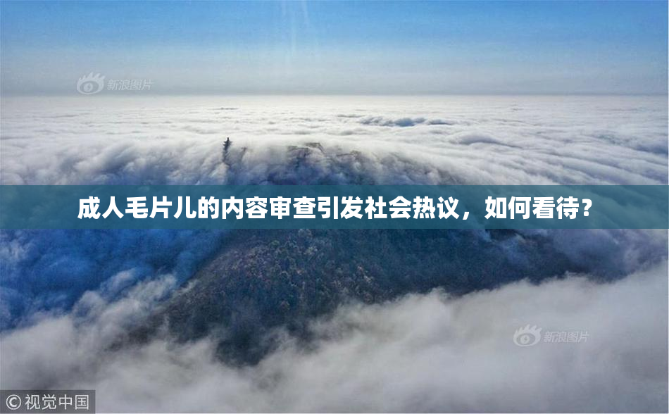 成人毛片儿的内容审查引发社会热议，如何看待？