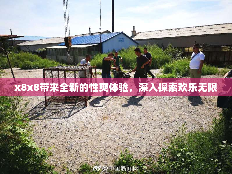 x8x8带来全新的性爽体验，深入探索欢乐无限