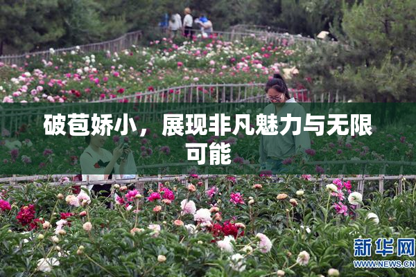 破苞娇小，展现非凡魅力与无限可能