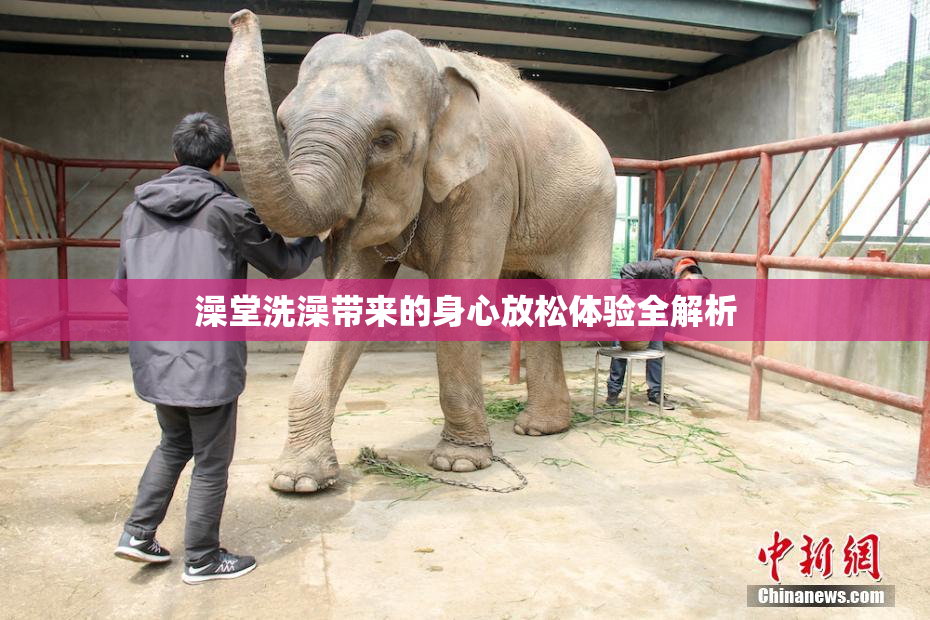 澡堂洗澡带来的身心放松体验全解析
