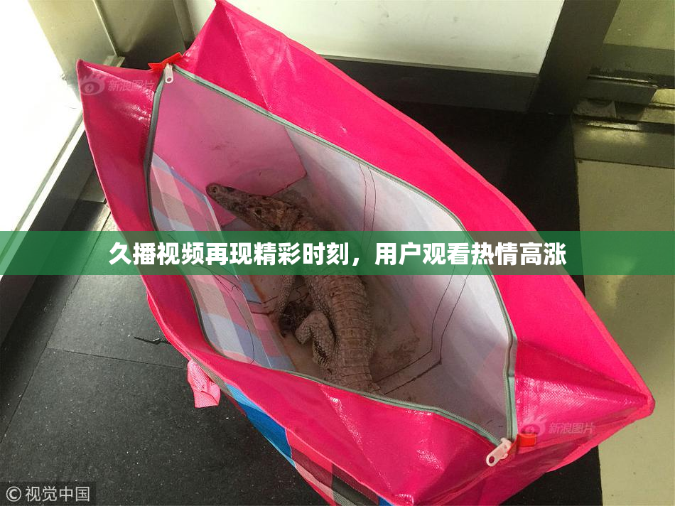 久播视频再现精彩时刻，用户观看热情高涨