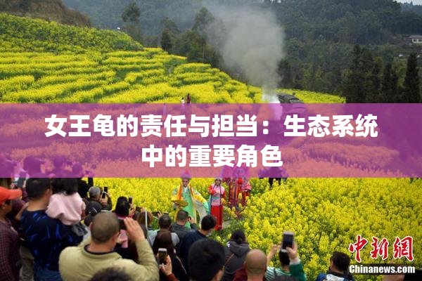 女王龟的责任与担当：生态系统中的重要角色