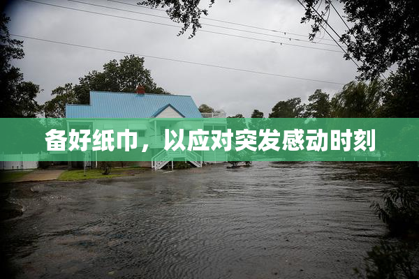 备好纸巾，以应对突发感动时刻