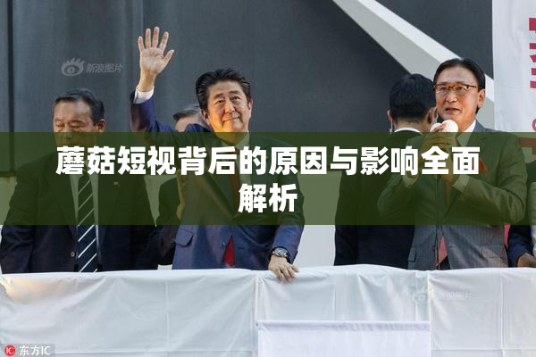 蘑菇短视背后的原因与影响全面解析