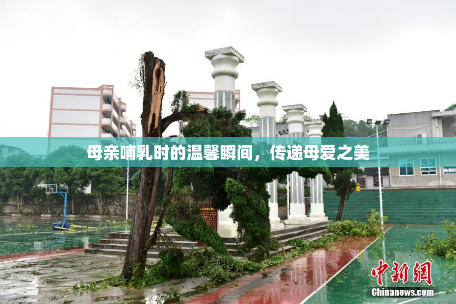 母亲哺乳时的温馨瞬间，传递母爱之美
