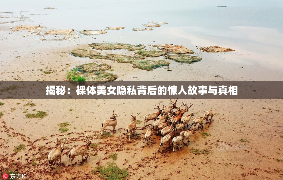 揭秘：裸体美女隐私背后的惊人故事与真相