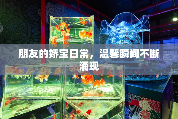 朋友的娇宝日常，温馨瞬间不断涌现