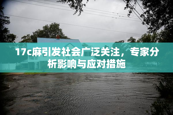 17c麻引发社会广泛关注，专家分析影响与应对措施