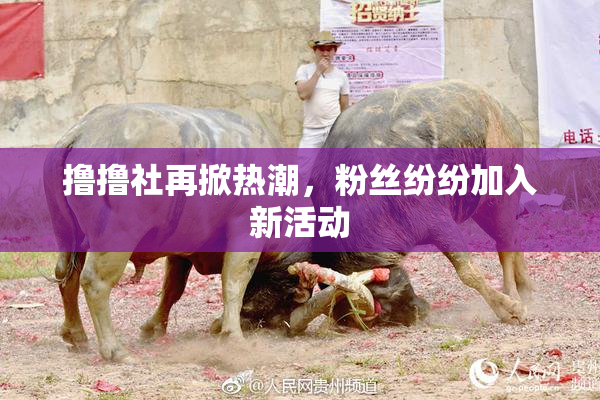 撸撸社再掀热潮，粉丝纷纷加入新活动