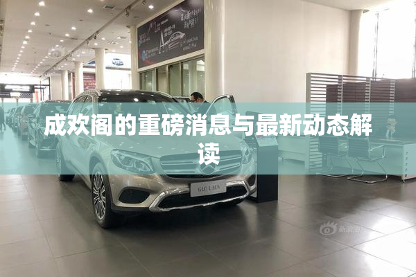 成欢阁的重磅消息与最新动态解读