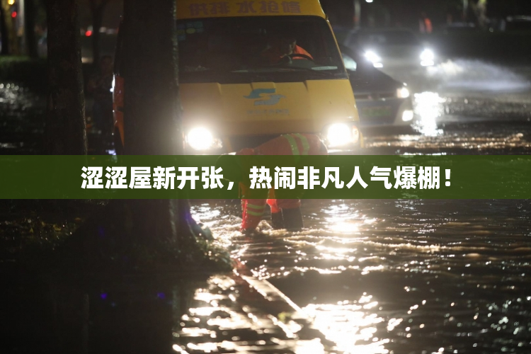 涩涩屋新开张，热闹非凡人气爆棚！
