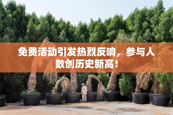 免费活动引发热烈反响，参与人数创历史新高！