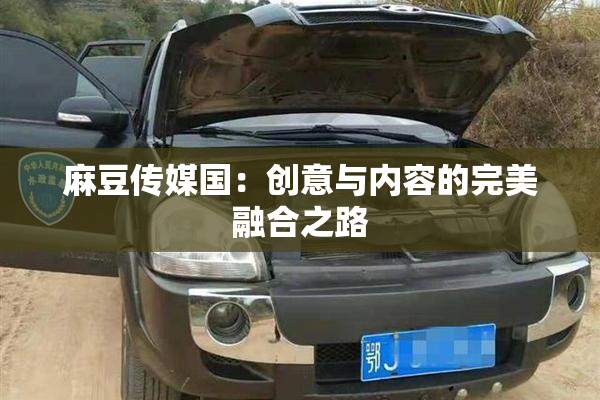 麻豆传媒国：创意与内容的完美融合之路