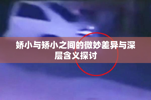 娇小与矫小之间的微妙差异与深层含义探讨