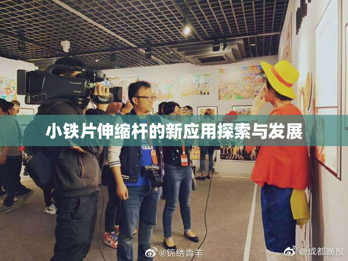 小铁片伸缩杆的新应用探索与发展