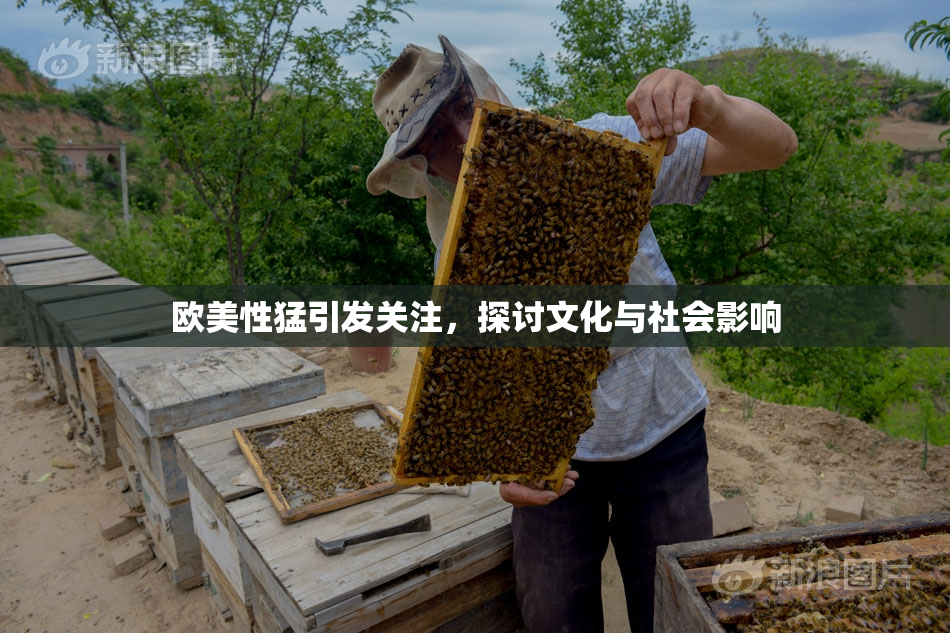 欧美性猛引发关注，探讨文化与社会影响