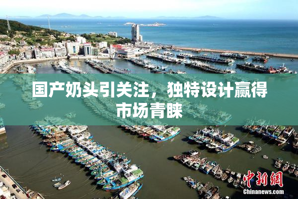 国产奶头引关注，独特设计赢得市场青睐